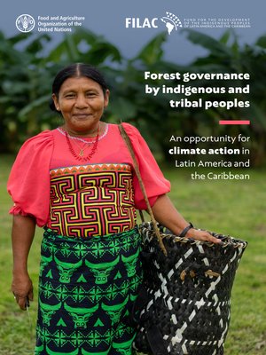 cover image of Forest Governance by Indigenous and Tribal Peoples. an Opportunity for Climate Action in Latin America and the Caribbean